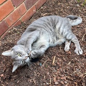 Meet your Posher, Liz